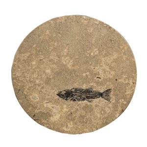 Fossil Stone Drink Table (Round) 170111318t